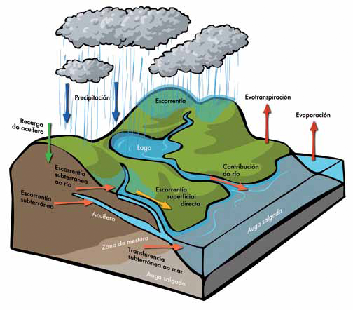Los procesos del ciclo hidrológico