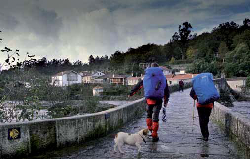 Un tramo del Camino de Santiago en un día con precipitaciones.