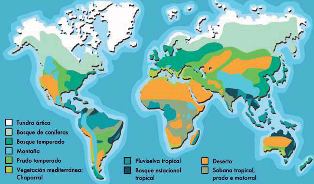 Evidencias e impactos del cambio climático en los biomas.